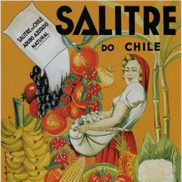 1. Salitre do Chile: adubo azotado natural, 1939.
