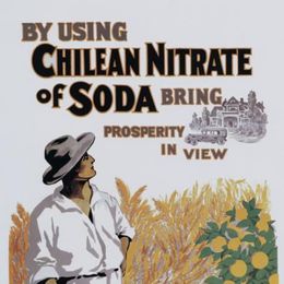 3. By using chilean nitrate of soda bring prosperity in vew: the fertilizer, 1912.